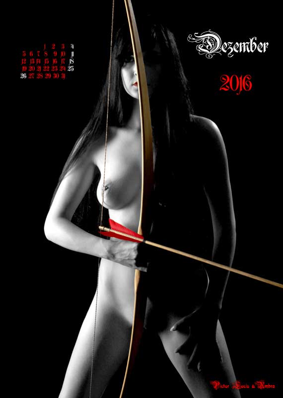 Bogen-Aktkalender-2016 | 12-2016-Bogenakt-roter-Pfeil 